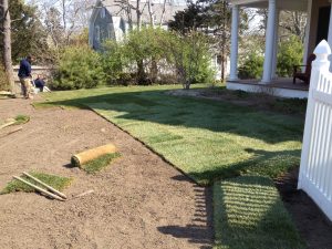 Barnstable Sandwich sod lawn residential landscapers Bourne Falmouth MA