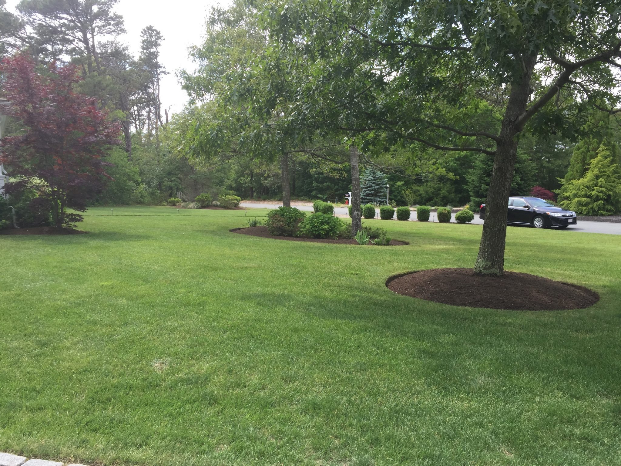 Barnstable Spring Fall clean up services Bourne Falmouth MA